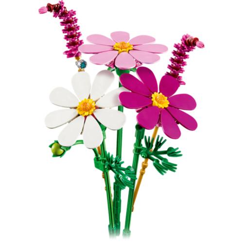 (Pre-order) Botanicals Cosmos Flowers (Estimated Early June 2026)