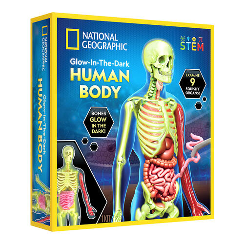 Nat Geo Human Body Science Kit