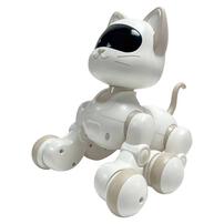 Playpop Radio Controlled Robo Cat