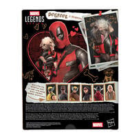 Marvel Legends Series Deadpool & Wolverine Dogpool & Deadpool Action Figures