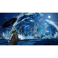 Nintendo Switch 2 Wild Hearts S