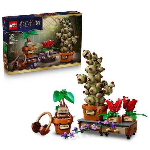 (Pre-order) LEGO Harry Potter TM Hogwarts Herbology Plants (Estimated Early June 2026)