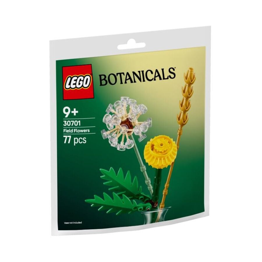 レミー LEGO Field Flowers 30701 (Free Gift) | Toys”R”Us – Singapore