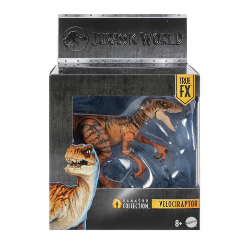 Jurassic World Hammond Collection Small Dino - Assorted (1 Pc)