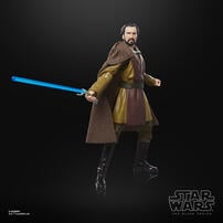 Star Wars The Black Series Action Figure - Assorted (1 Pc)