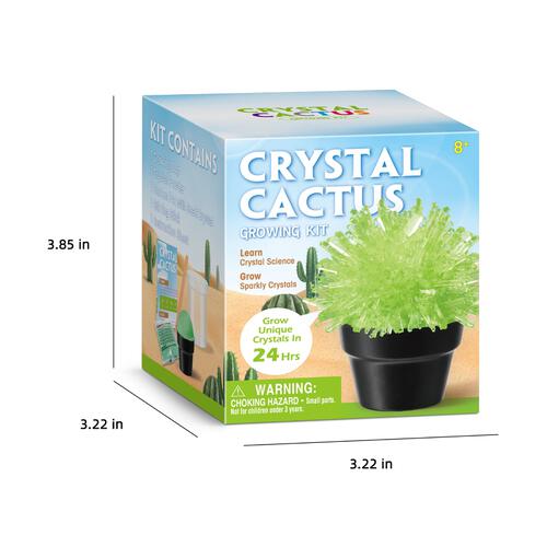 Green Crystal Cactus Growing Kit