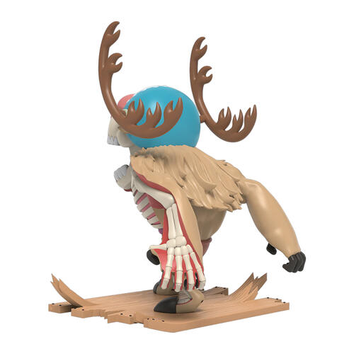 XXRAY Plus Monster Point