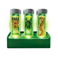 4M KidzLabs Creepy Crawley Digging Lab