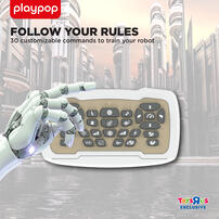 playpop Radio-Controlled Robo Dino