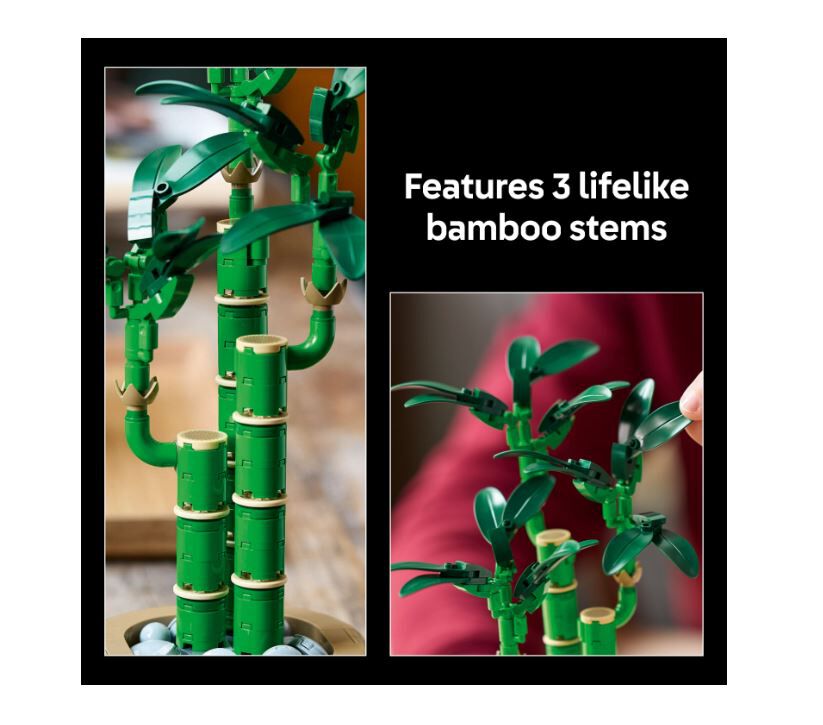 LEGO Botanicals Lucky Bamboo 10344 | Toys”R”Us – Singapore