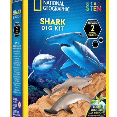National Geographic Shark Dig Kit