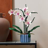 LEGO Botanical Orchid 10311