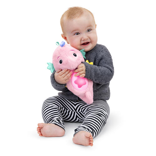Baby Einstein Sea Dreams Seahorse Plush Soother Pink