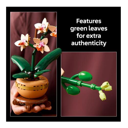 LEGO Botanicals Mini Orchid 10343