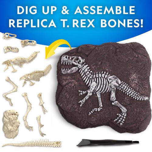 National Geographic: T-Rex Skeleton Dig Kit