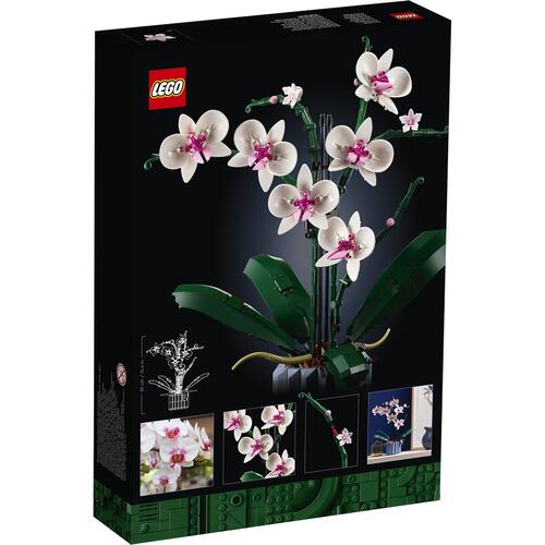 LEGO Botanical Orchid 10311