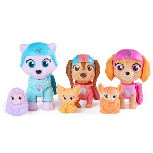 Paw Patrol Animal Rescue Set - Assorted (1 Pc)