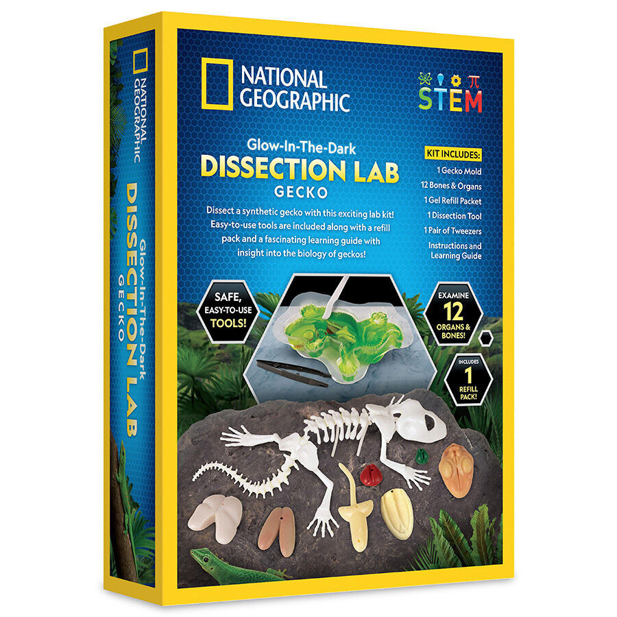 Nat Geo Gecko Dissection Lab | Toys”R”Us – Singapore