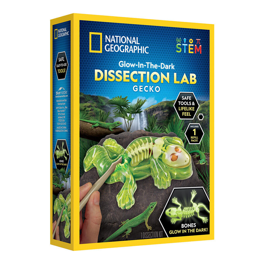 Nat Geo Gecko Dissection Lab | Toys”R”Us – Singapore