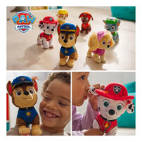Paw Patrol Sitting Plush - Assorted (1 Pc)