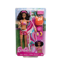Barbie Surf Doll With Accessories 