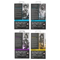 Star Wars The Black Series Action Figure - Assorted (1 Pc)