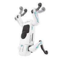 Playpop Radio Controlled Robotic Smart Dog