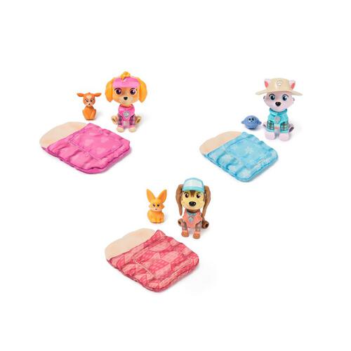 Paw Patrol Skye'S Camping Figures - Assorted