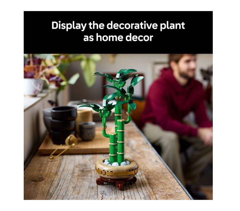 LEGO Botanicals Lucky Bamboo 10344 | Toys”R”Us – Singapore