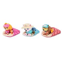 Paw Patrol Skye'S Camping Figures - Assorted