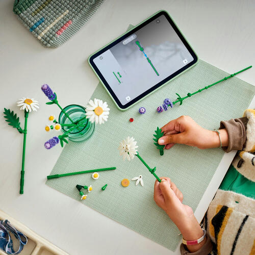 LEGO Botanicals Daisies 11508