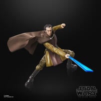 Star Wars The Black Series Action Figure - Assorted (1 Pc)