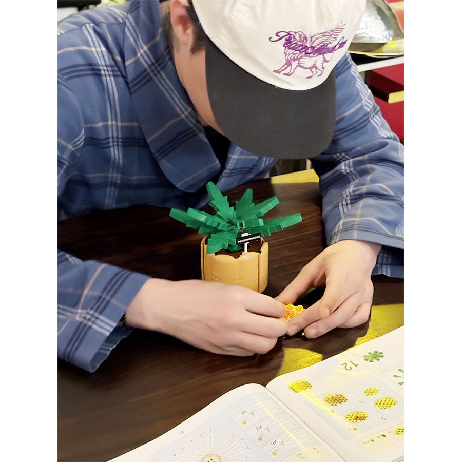 Oxford G-Dragon 818 Bloom Bricks | Toys”R”Us – Singapore
