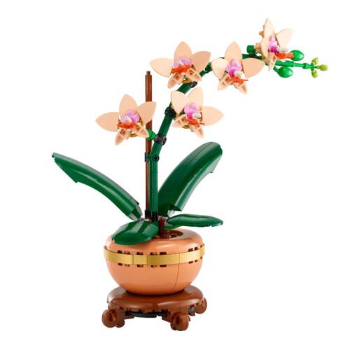 LEGO Botanicals Mini Orchid 10343