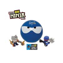 Ninja Kidz Mini Mystery Ninja Ball