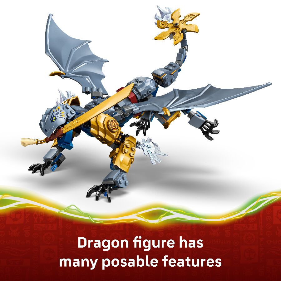 LEGO NINJAGO Ninja Dragon Riyu's Battle 71855 | Toys”R”Us – Singapore